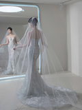 Princess Mermaid Sweetheart Silver Sequin Fitted Long Wedding Dress Bridal Gown Wedding Dresses HZ0311